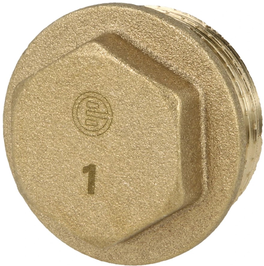 OEG AS812497 - Brass Plug (G 1